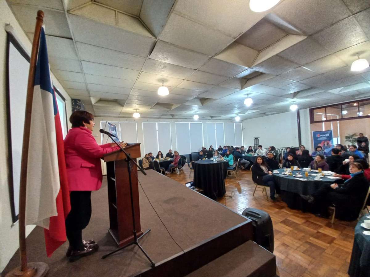 Encuentro regional relevó el trabajo estratégico y coordinado entre las OMIL y el Sence Ñuble