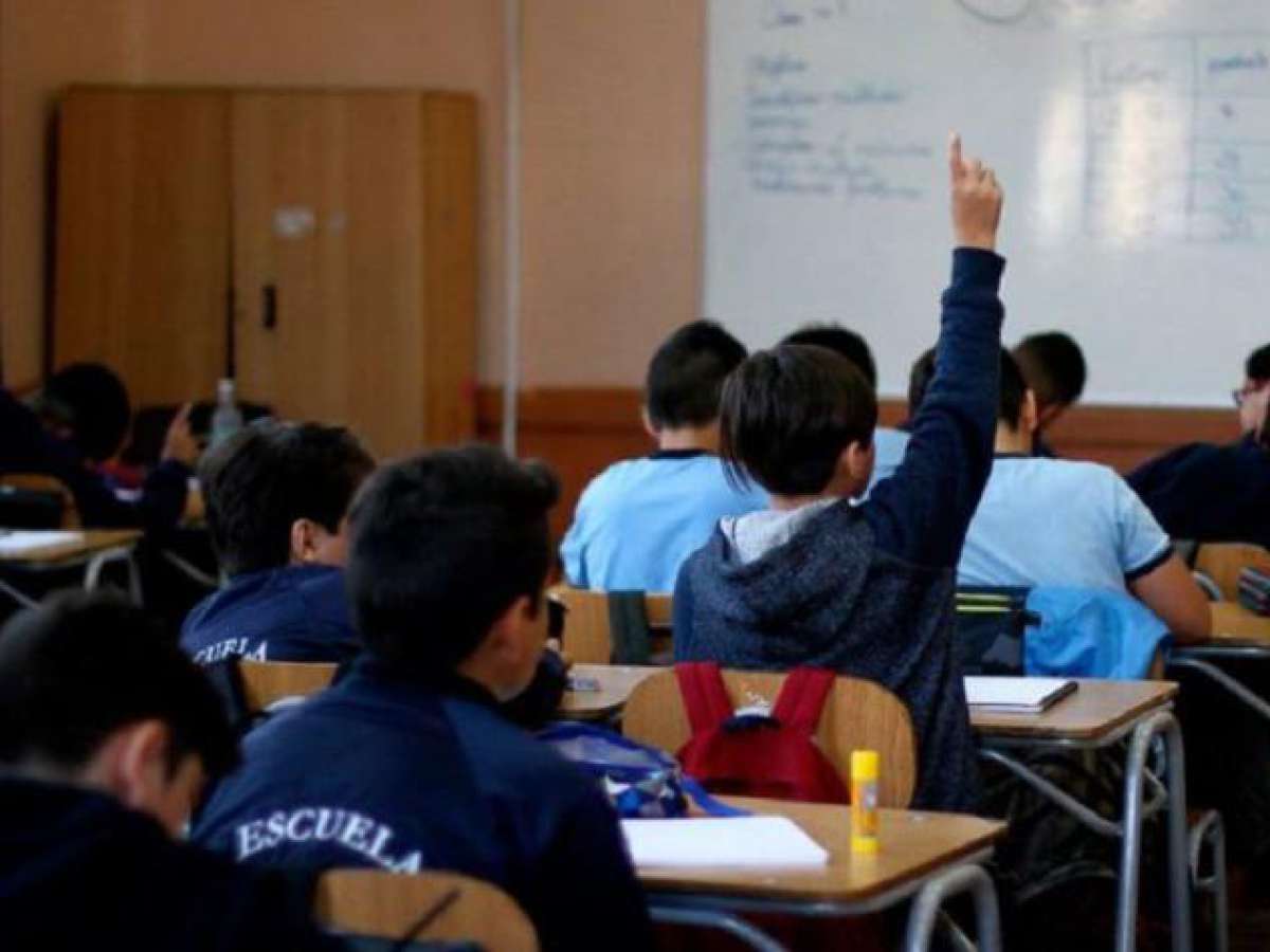 Diputada Sara Concha emplazó al Gobierno a priorizar a estudiantes de comunas rurales en Sistema de Admisión Escolar