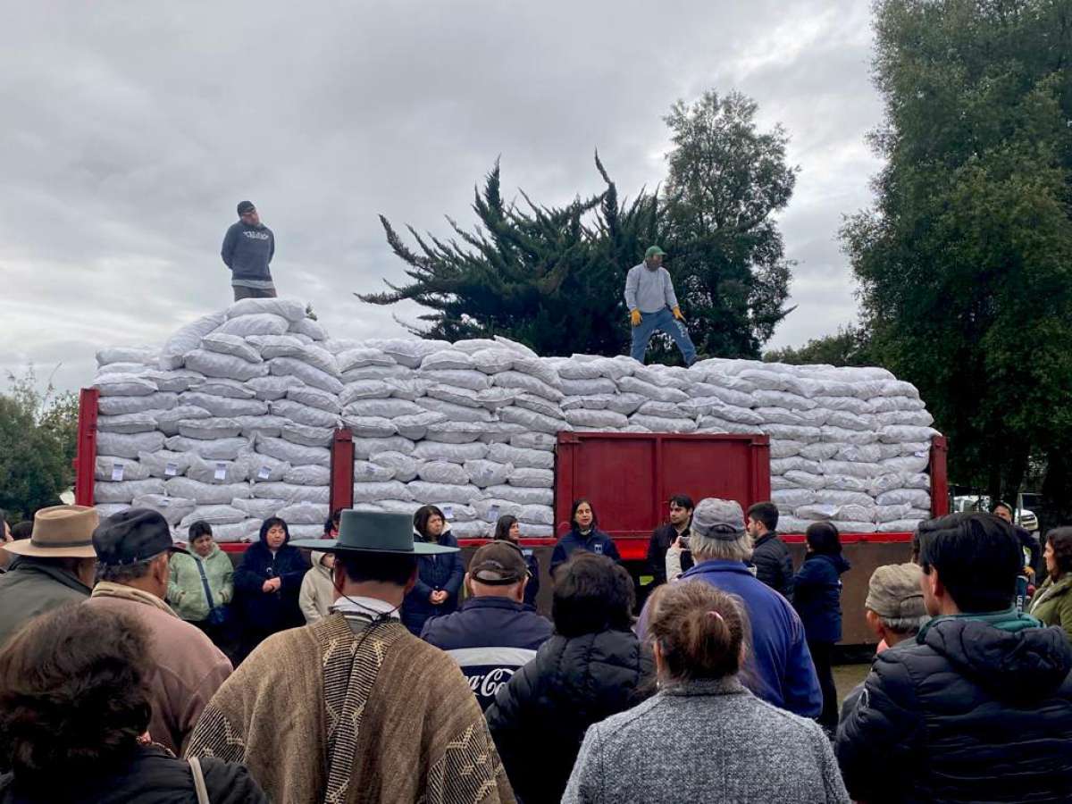 Ministerio de Agricultura ha entregado 445 toneladas de alimento animal a agricultoras y agricultores afectados por lluvias
