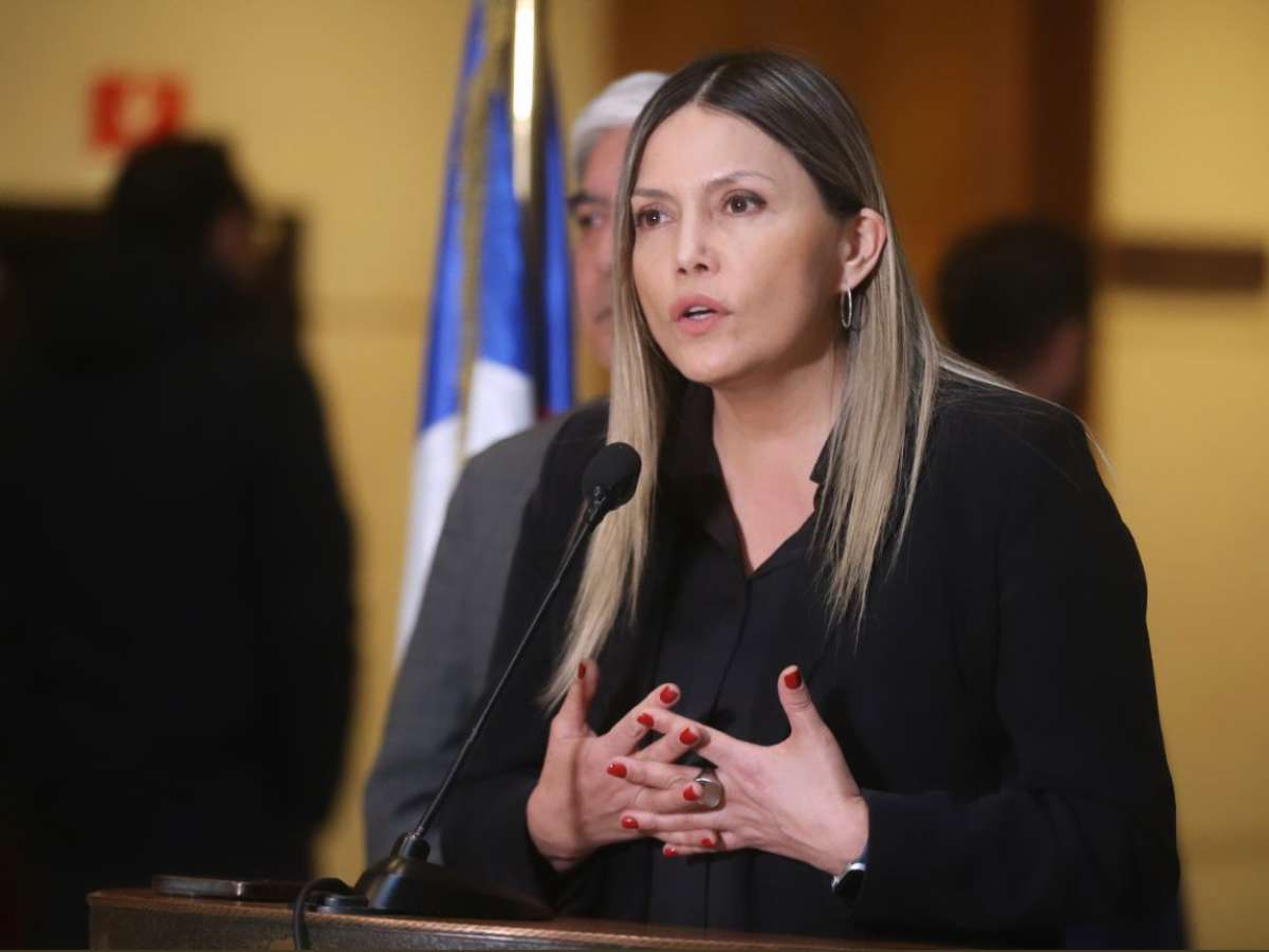 Diputada Marlene Pérez exige la renuncia del Ministro Jackson: 
