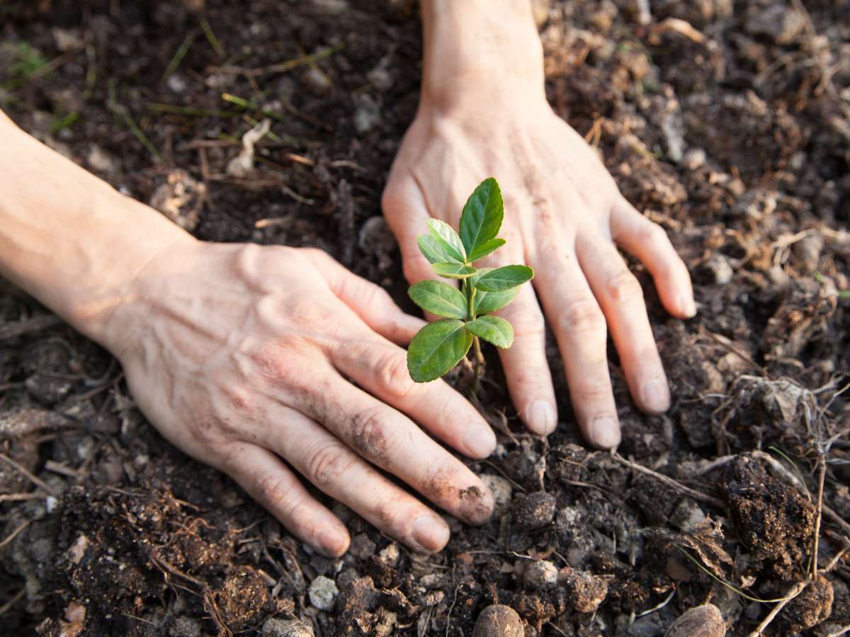 Medio Ambiente invita a ser parte de proceso participativo por la implementación de Escazú en Chile