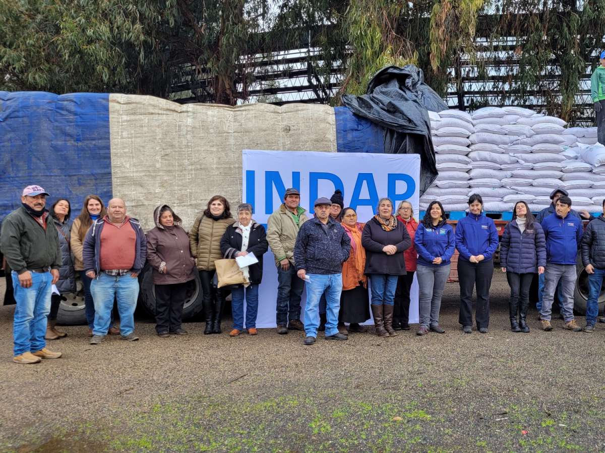 INDAP llama a informar daños por temporales hasta el 21 de julio mientras avanza entrega de alimentación animal para la pequeña agricultura