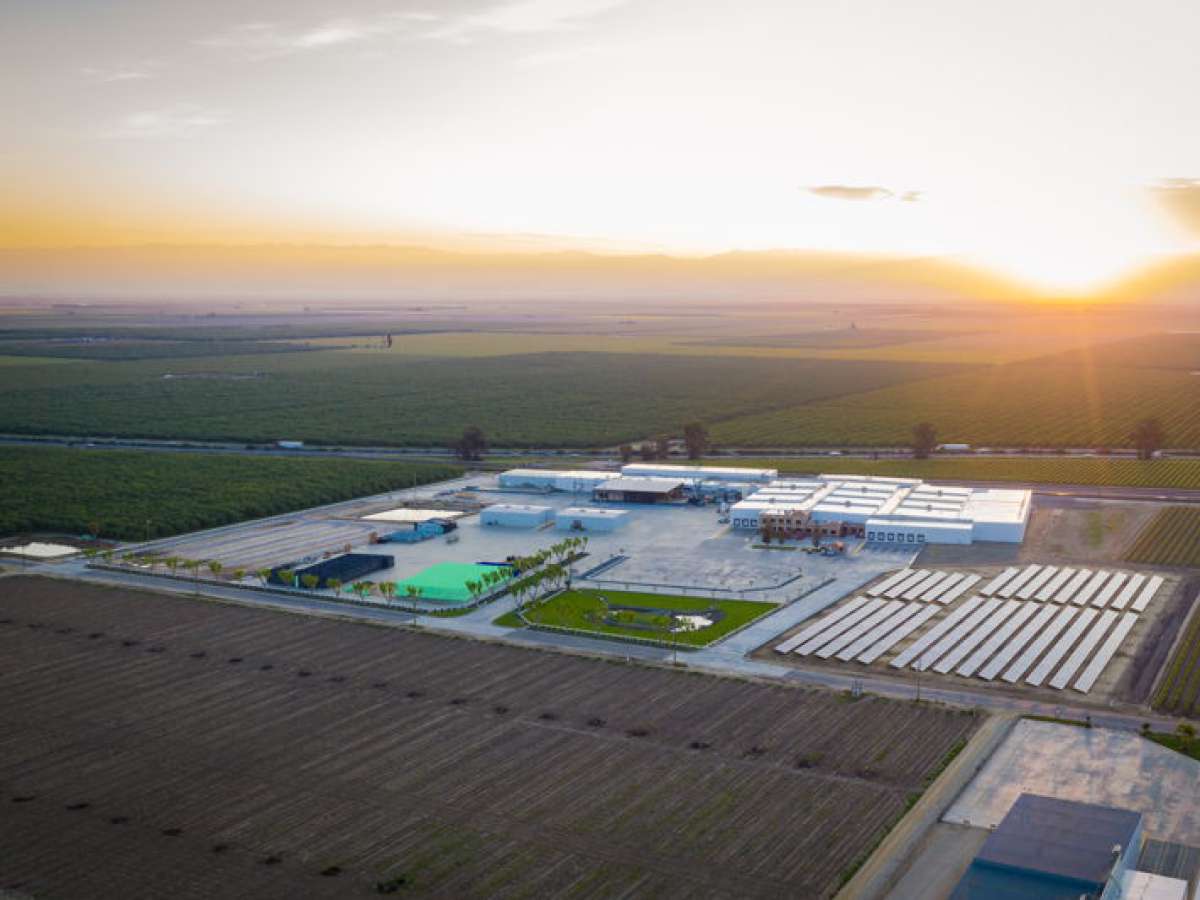 Nuevo modelo de distribución agrícola proporcionará estabilidad económica a productores