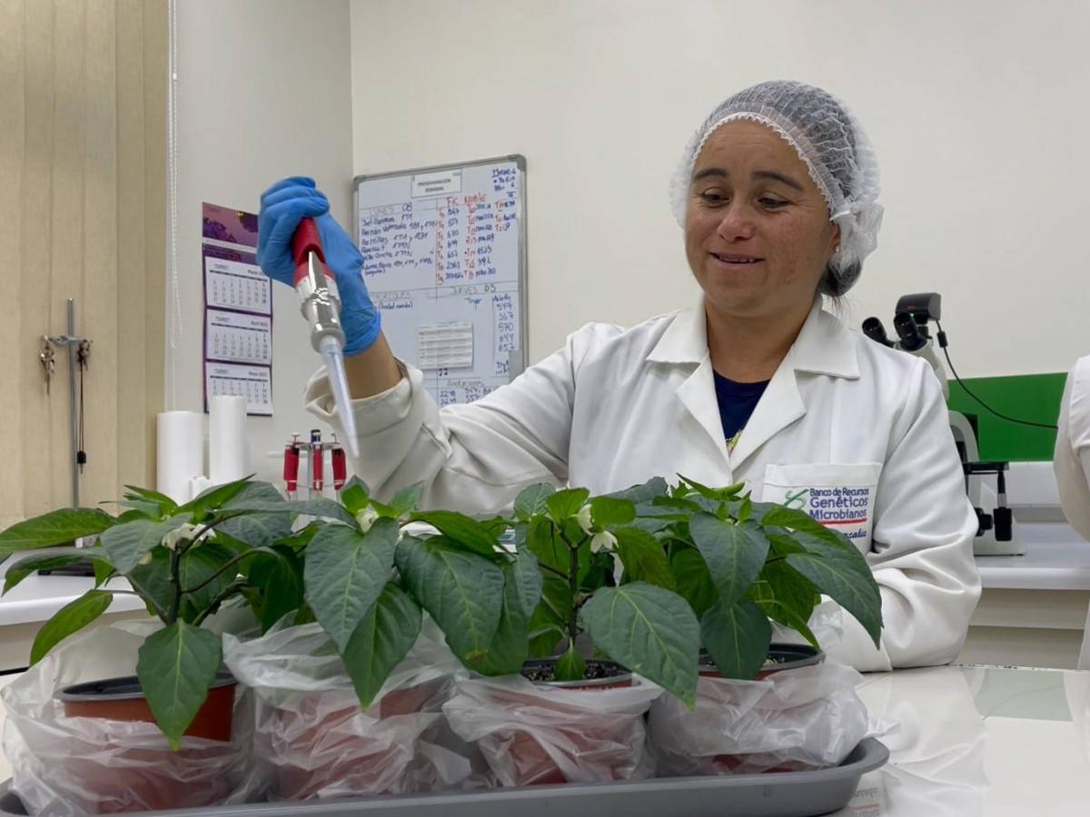 En encuentro de innovación investigadoras de INIA motivaron a jóvenes a desarrollar startups en ciencias