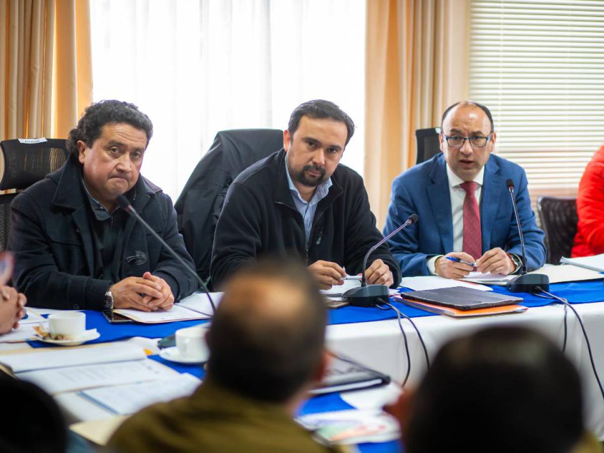 Reúnen a servicios públicos para conocer avances en la implementación del Paso Minas- Ñuble
