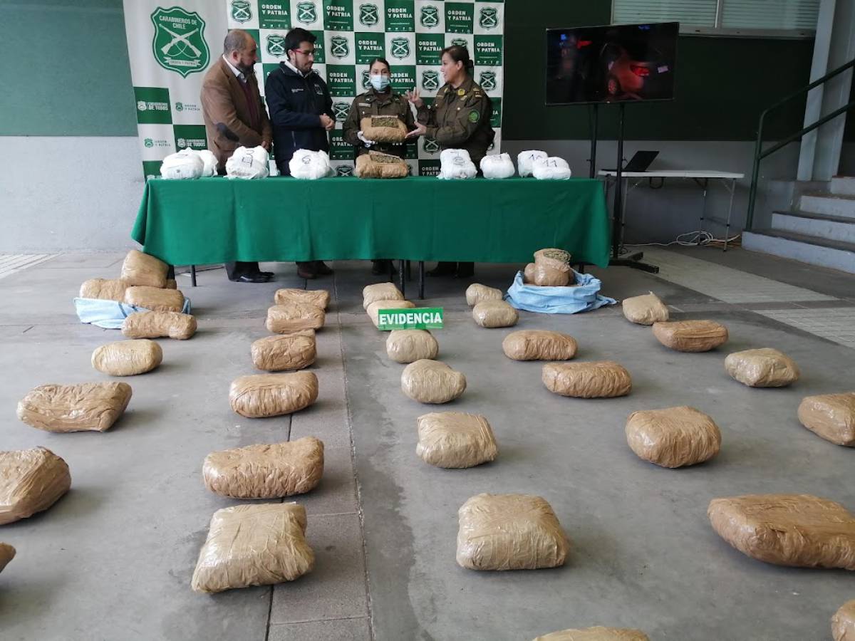 OS7 de Carabineros Ñuble logró la incautación de 57 kilos de marihuana tras controlar un vehículo en el peaje San Clara comuna de Pemuco