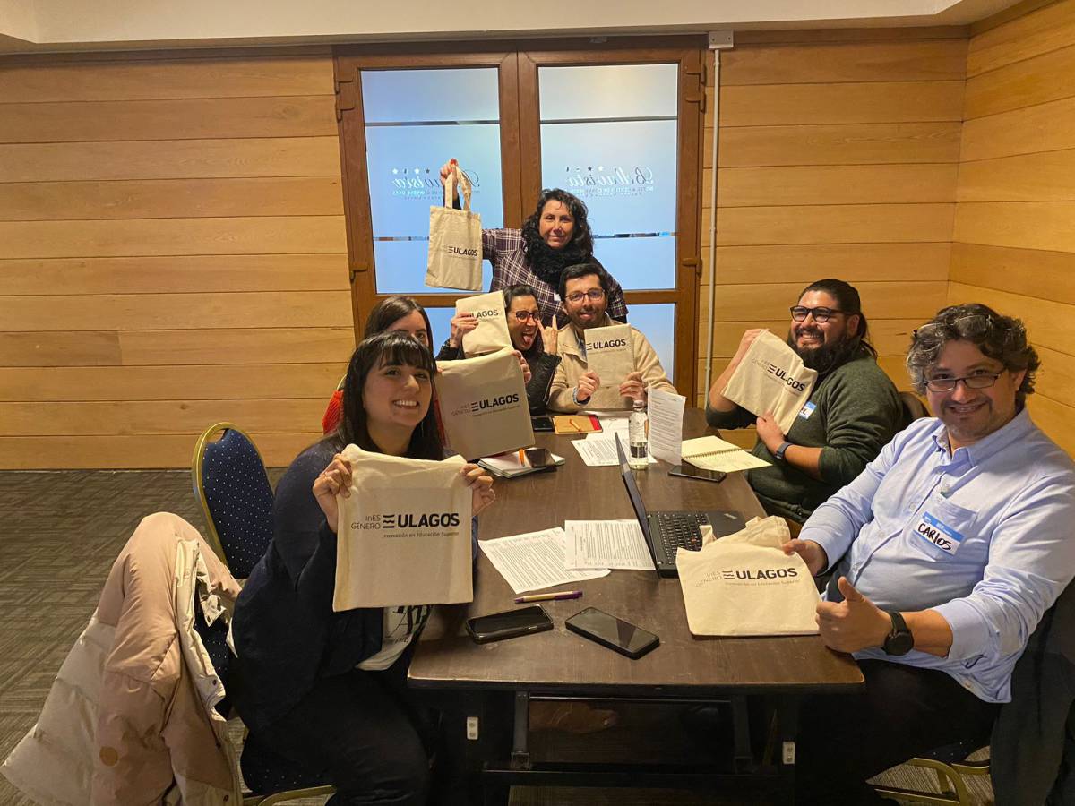 Académicos e investigadores Ulagos realizan trabajo colaborativo en materia de Investigación, Desarrollo e Innovación