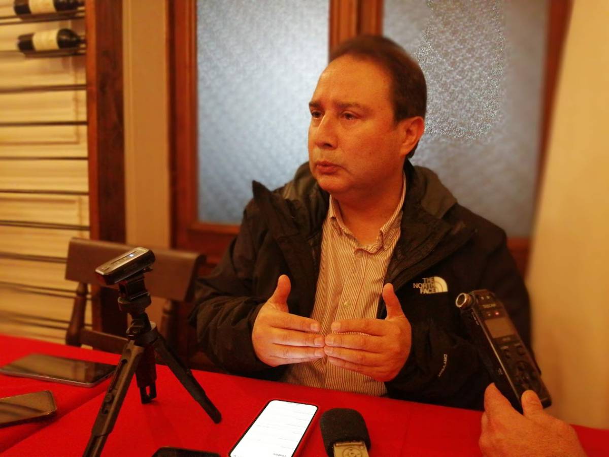 Diputados RN envían carta a ministro Marcel por obligación de grabado de patentes en automóviles
