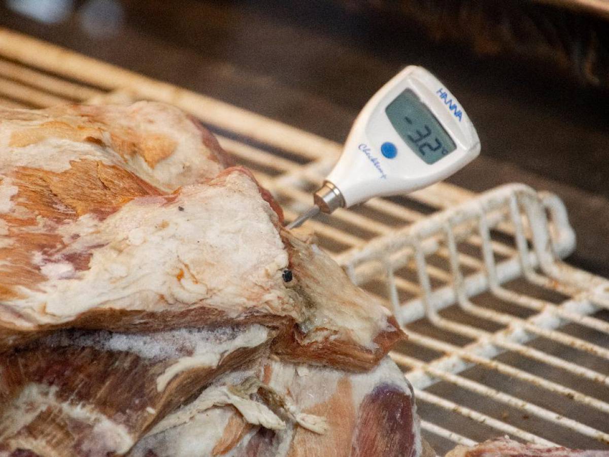 En días previos a festividades patrias: Seremi de Salud ha decomisado 2 mil 45 kilos de productos cárnicos