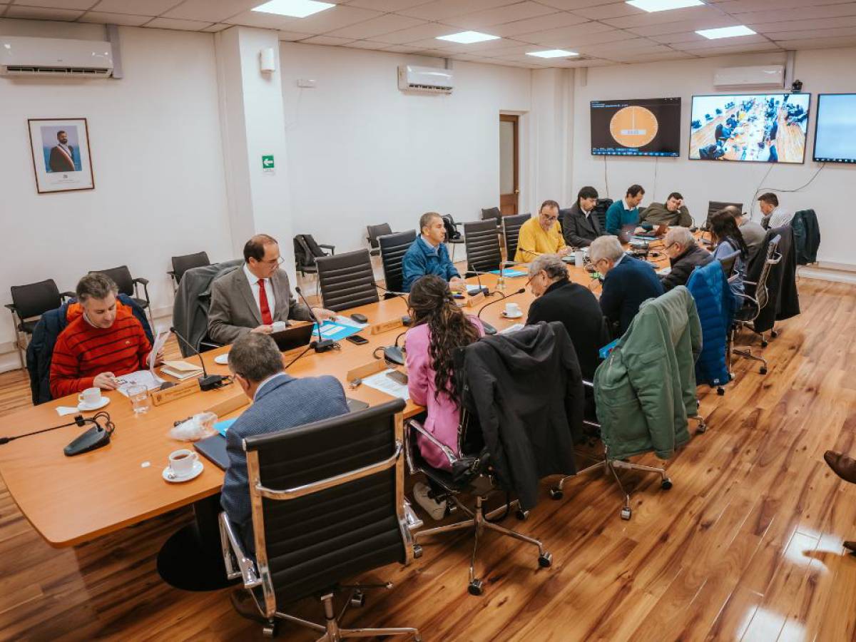 Consejo Regional prioriza proyecto de APR que beneficiará a 233 familias de Coihueco