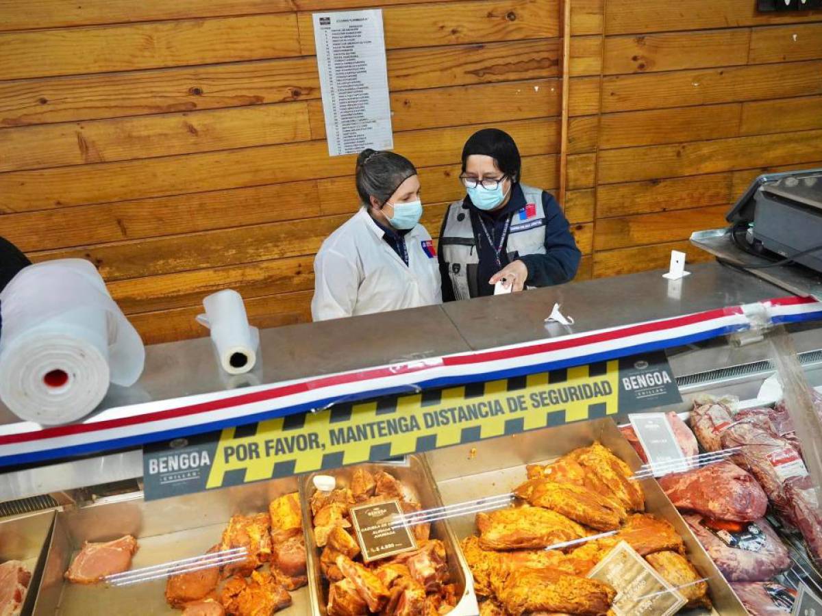 Seremi de Salud decomisó 3 mil 703 kilos de productos cárnicos