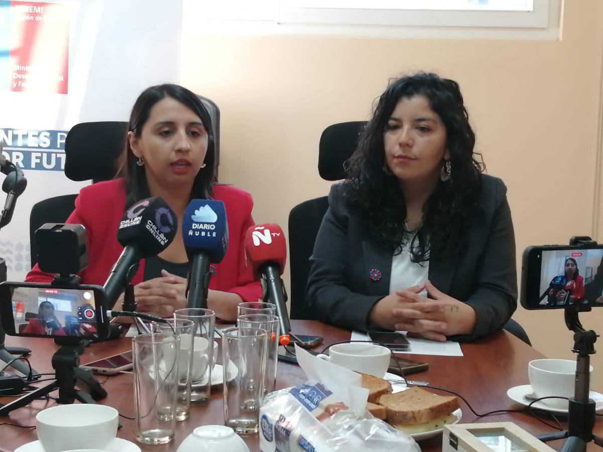 Más de 55 mil prestaciones registra el Plan Protege Calle en Ñuble entre ls meses de mayo y septiembre de este año