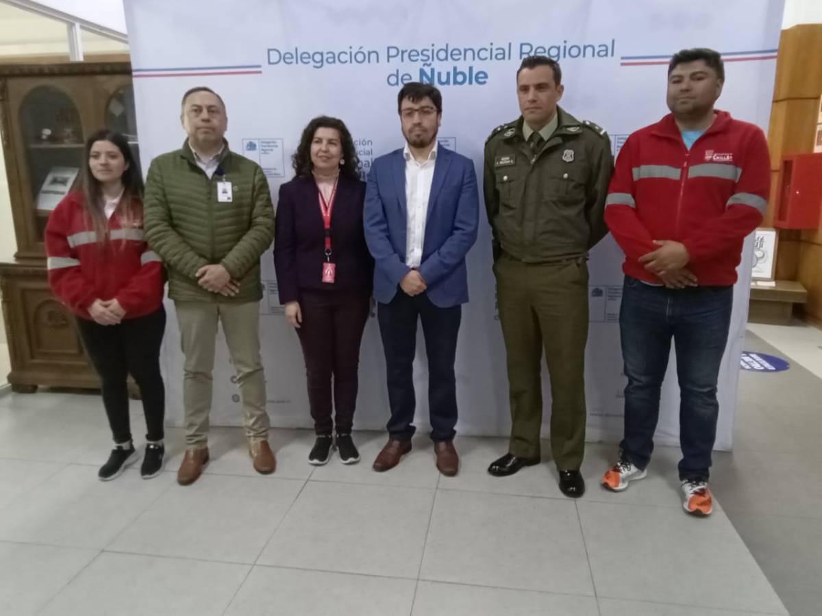Autoridades informaron este lunes resultados obtenidos en fiscalizaciones al comercio informal de Chillán