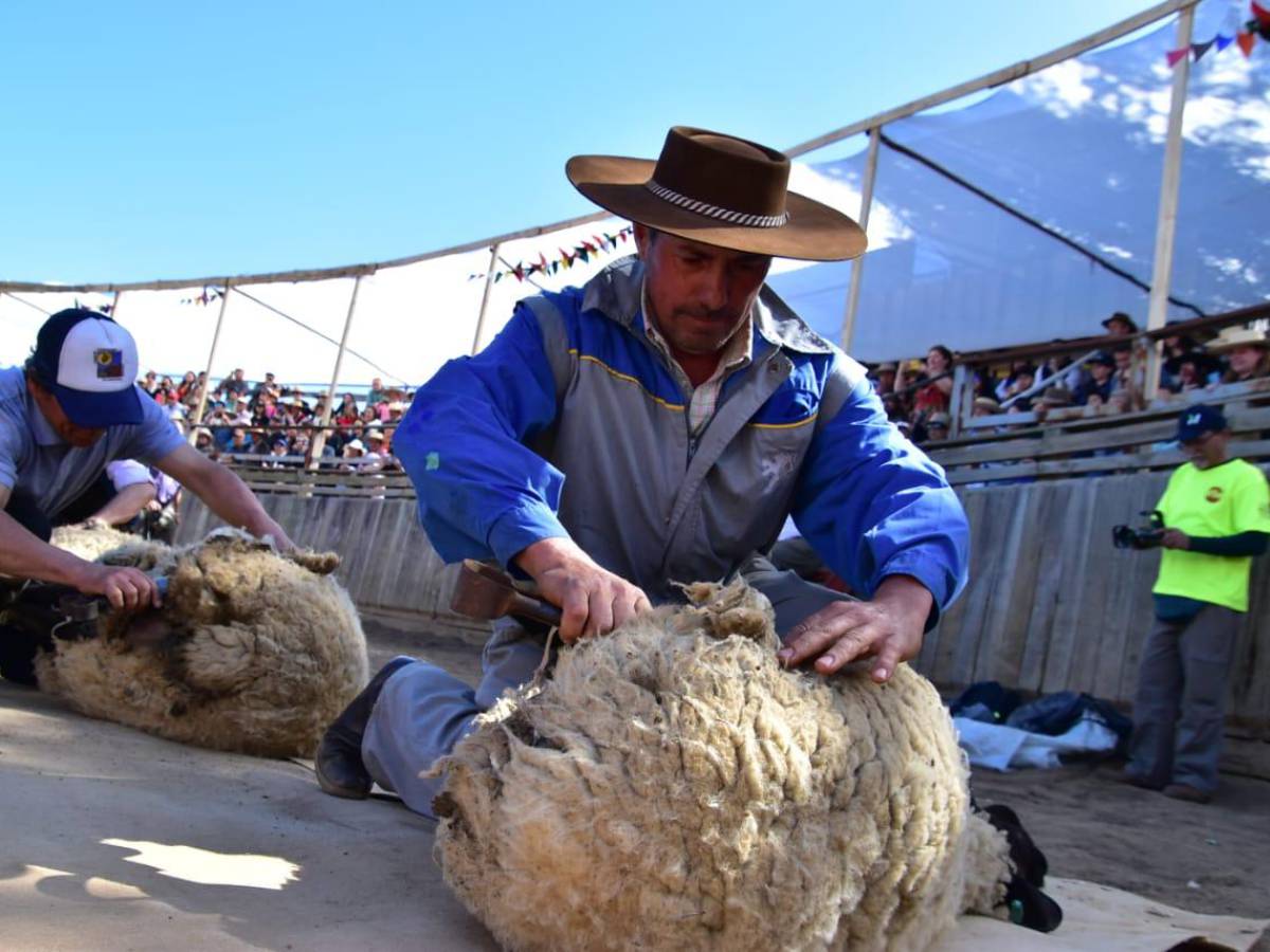 Cerca de mil personas disfrutaron de la Fiesta de la Esquila San Nicolás 2023