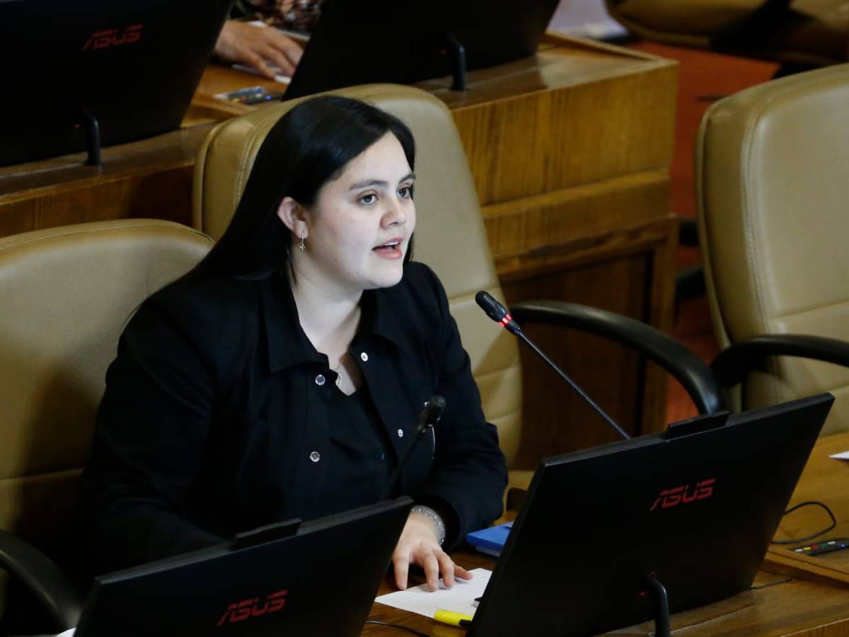 Diputada Concha (PSC) pide al Mineduc aclarar baja ejecución presupuestaria de programas Liceos Bicentenarios