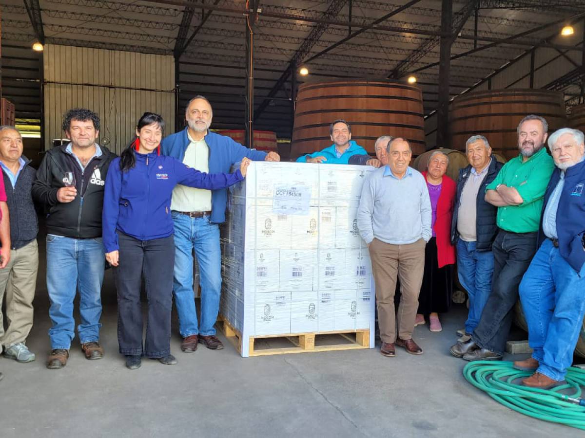 Empresa asociativa campesina logra su primer envío de vino sustentable a Suecia, con apoyo de INDAP.