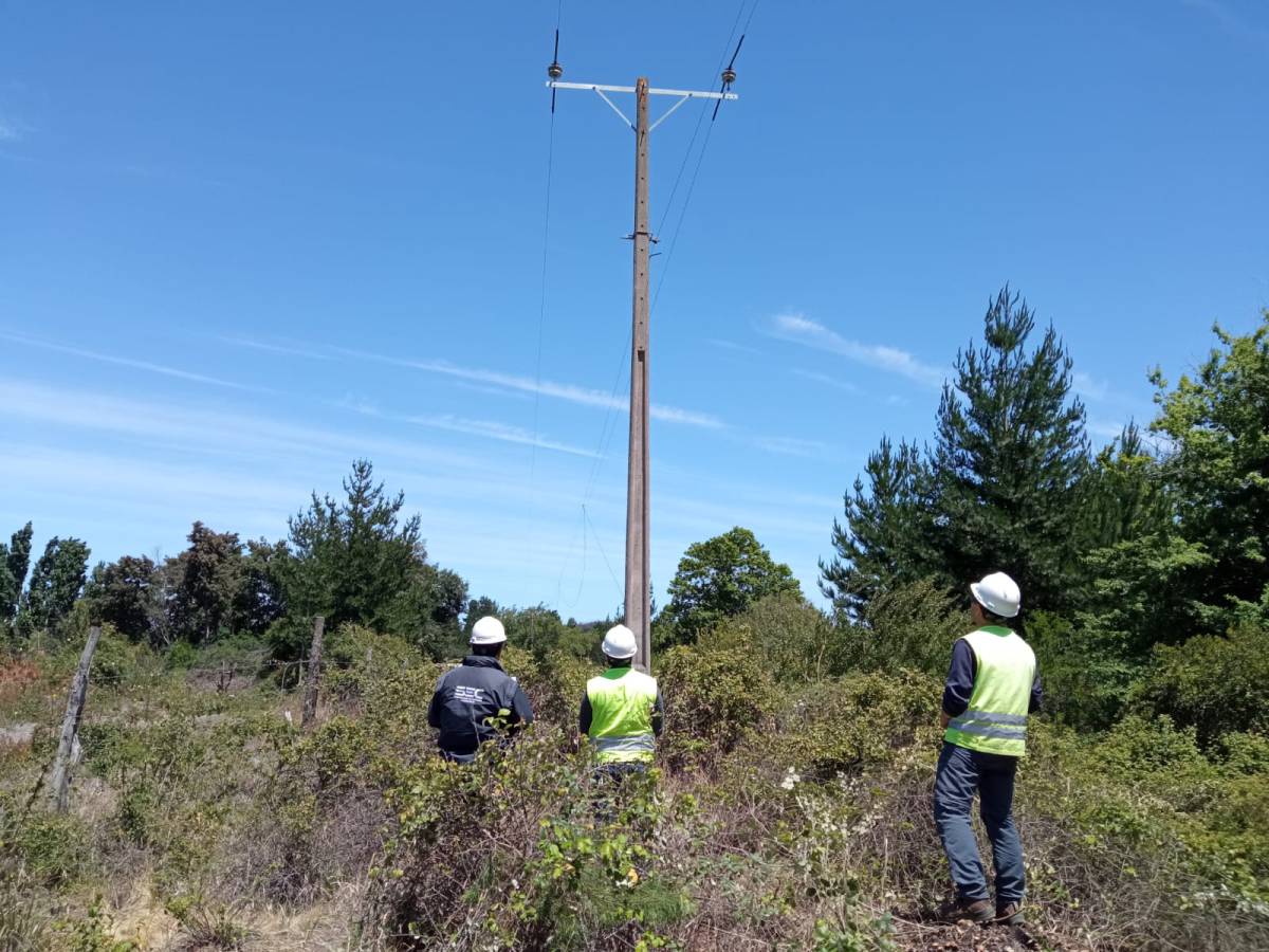 SEC Ñuble inspecciona avance en planes de acción instruidos a FRONTEL para mejorar la continuidad del suministro eléctrico