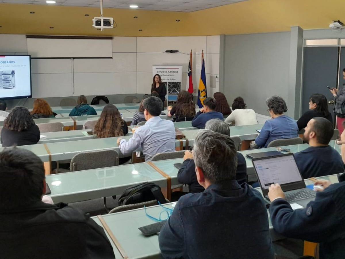 Analizan impacto de antimicrobianos en producción animal y disponibilidad de alimento
