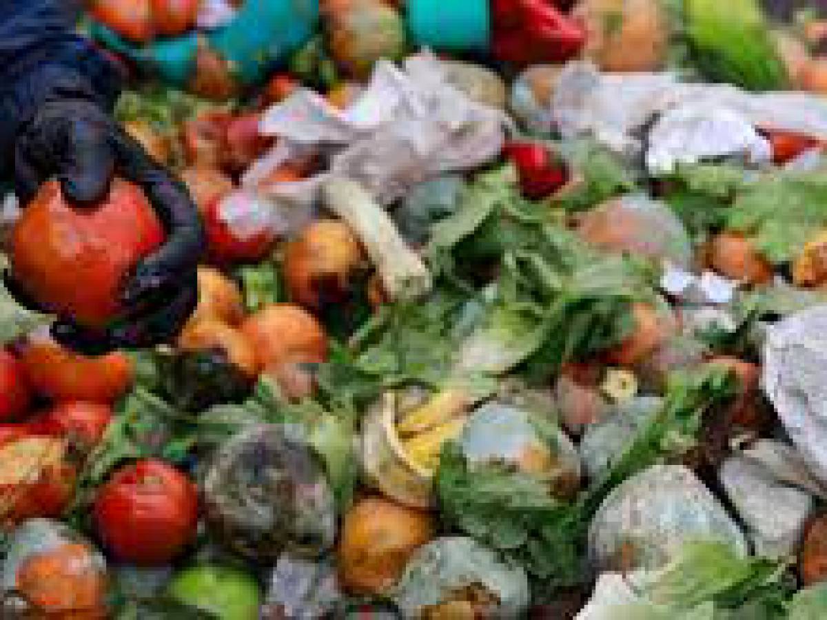 Herramientas digitales para evitar los desperdicios de alimentos
