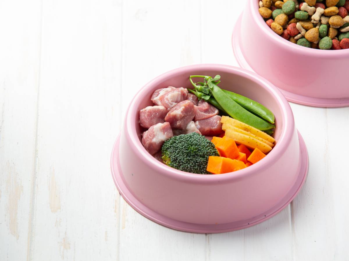 Dieta cruda para mascotas: ¿Puede poner en riesgo a las personas?