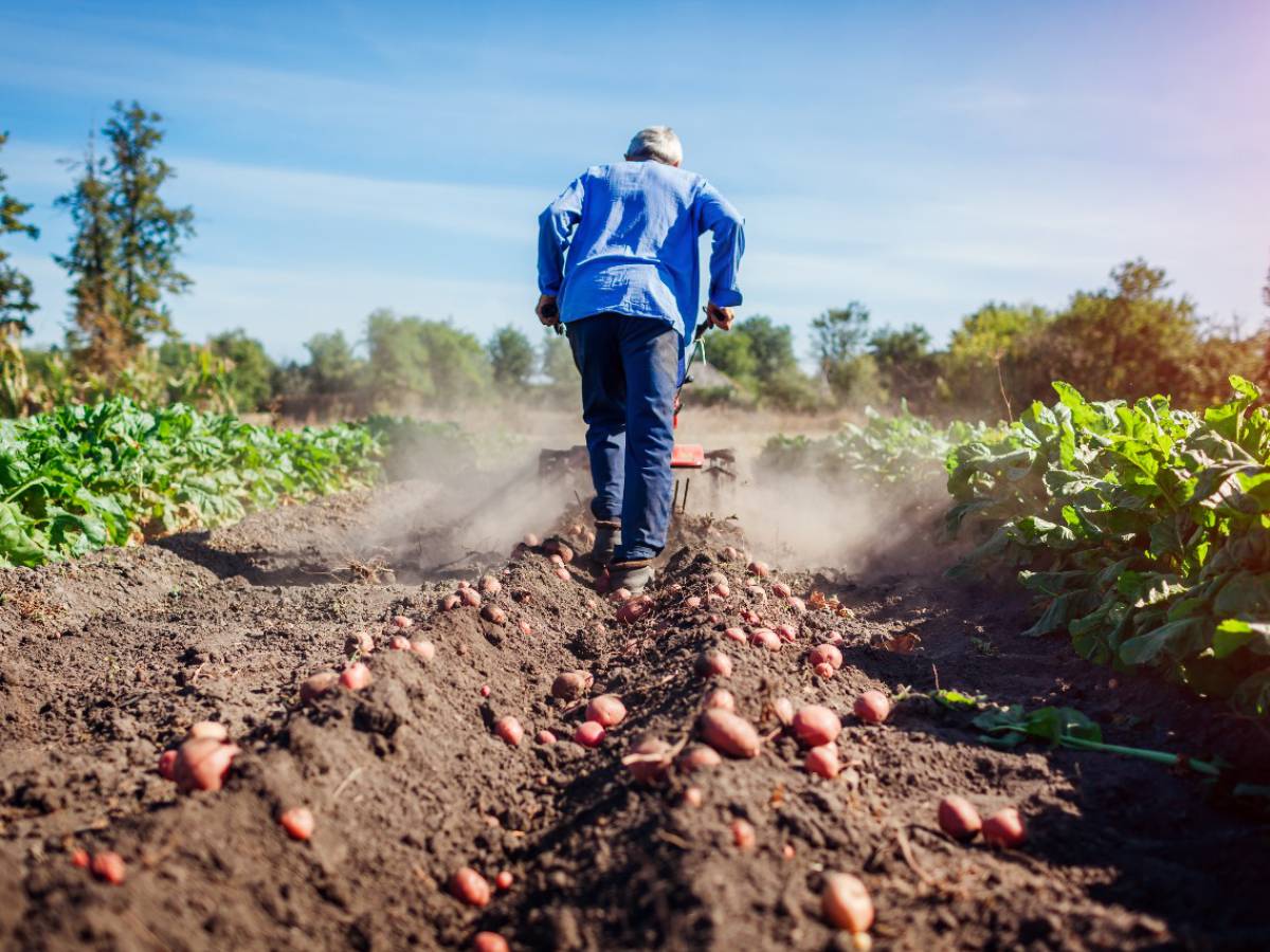 Agronomía UdeC realizará seminario sobre sustentabilidad de  los suelos frente al cambio climático