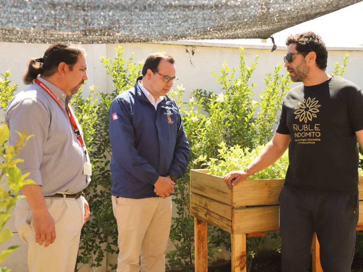 TALLER DE PLANTAS MEDICINALES HA SIDO TODA UNA REVELACIÓN PARA  ADULTOS MAYORES