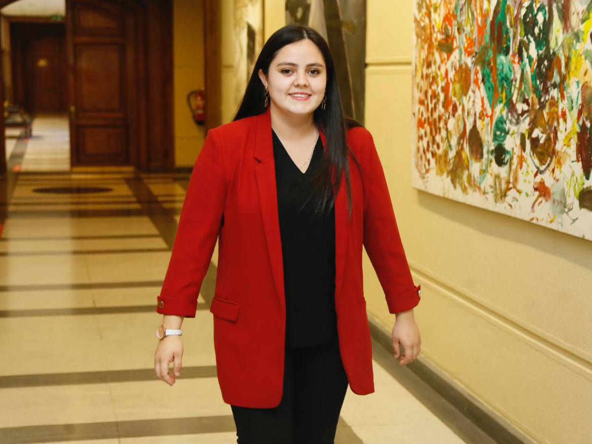 Diputada Concha y AC contra ministro Montes: “será ingresada  post plebiscito”