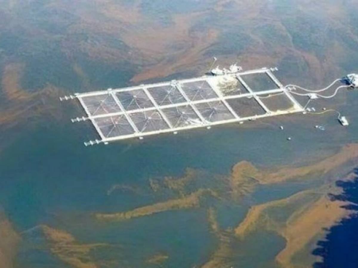 Por la defensa de las áreas marinas de la Patagonia: organizaciones comparten principales desafíos para este 2024.