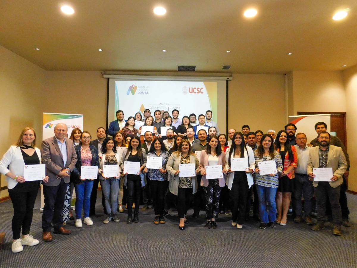 Diploma en “Marco Lógico para Formulación Proyectos de Innovación” para Ñuble cerró con presentación de 9 proyectos