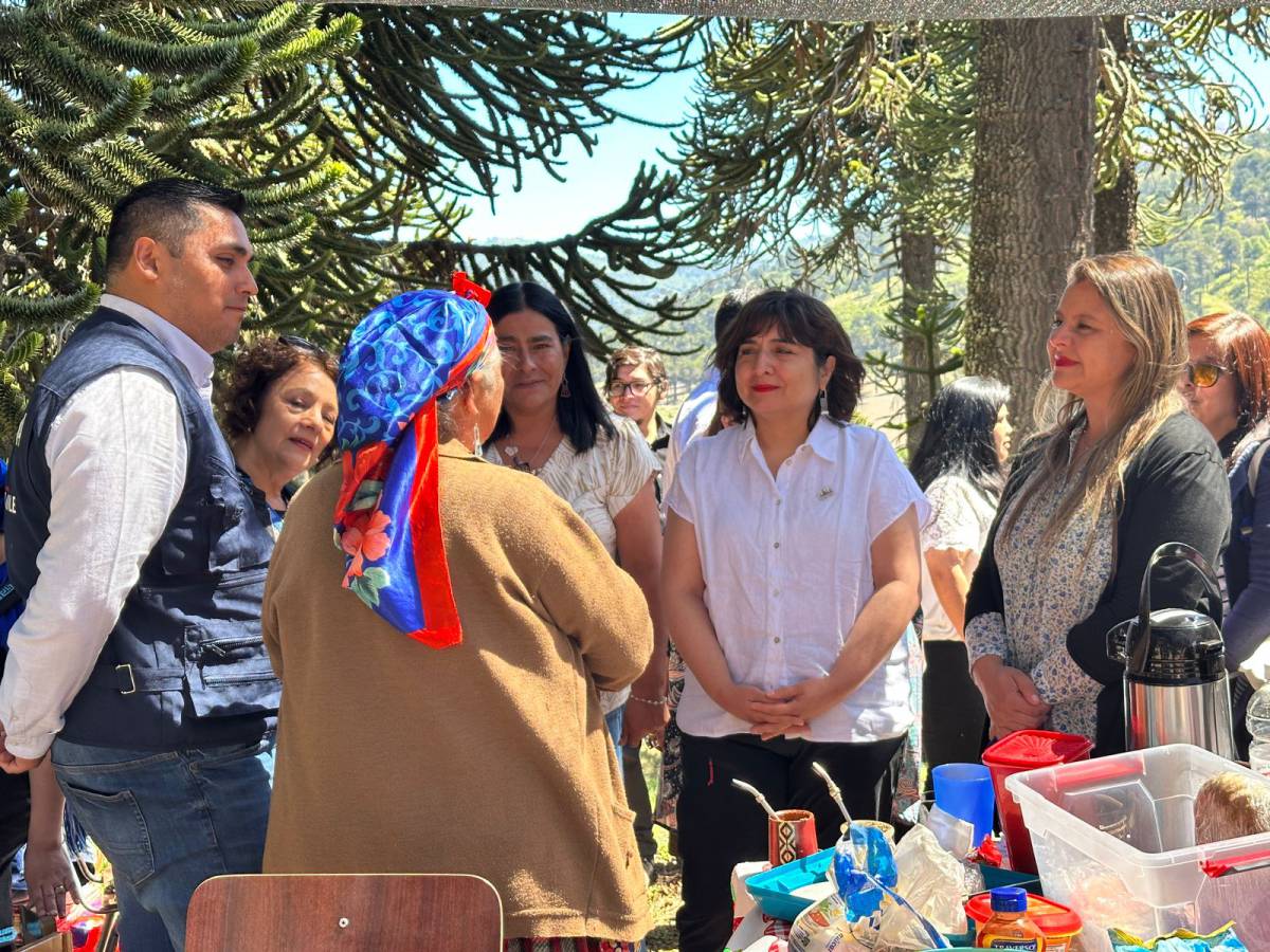 Subsecretaria Lagos participa de Veranadas Pehuenche y lidera certificación de jardín infantil en Lonquimay 