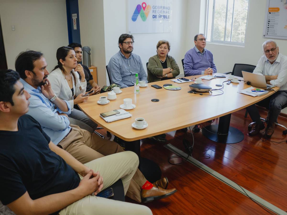Concejales de Chillán conocen proyectos de inversión del Gobierno Regional en la comuna