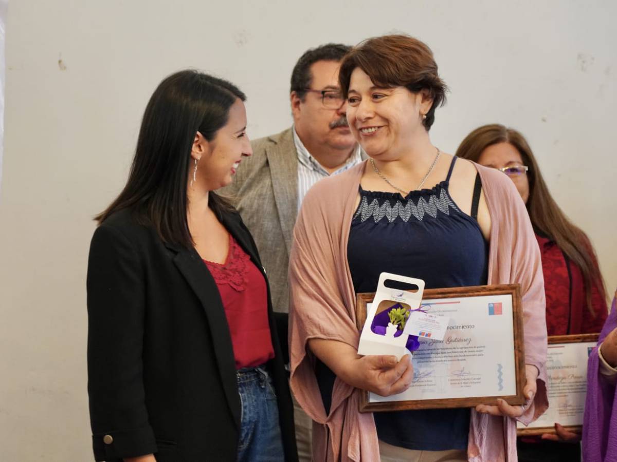 Mujeres representan el 89% de quienes cuidan en  Ñuble