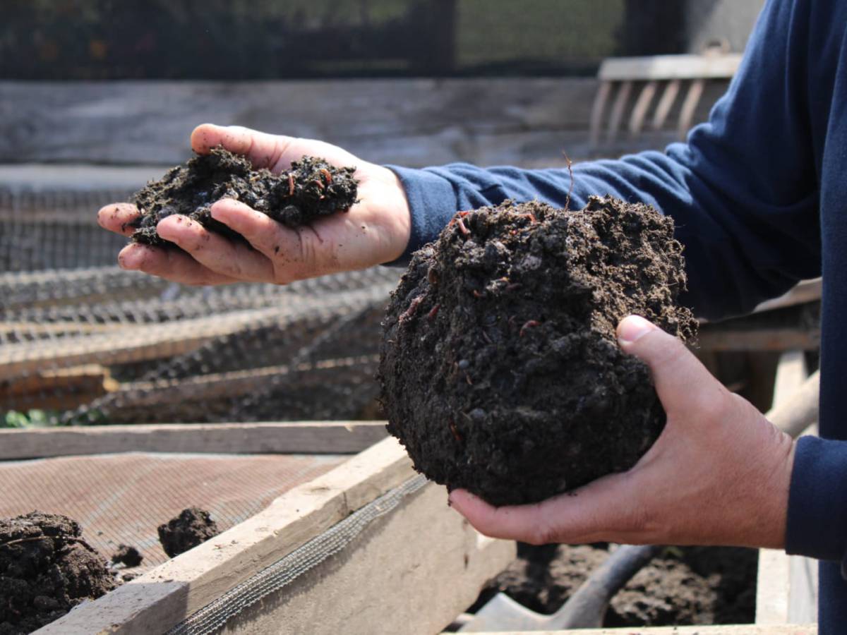 Agricultura sostenible se transforma en prioridad para Pproductores de la Pprovincia de Arauco adoptan prácticas de  agricultura sostenible