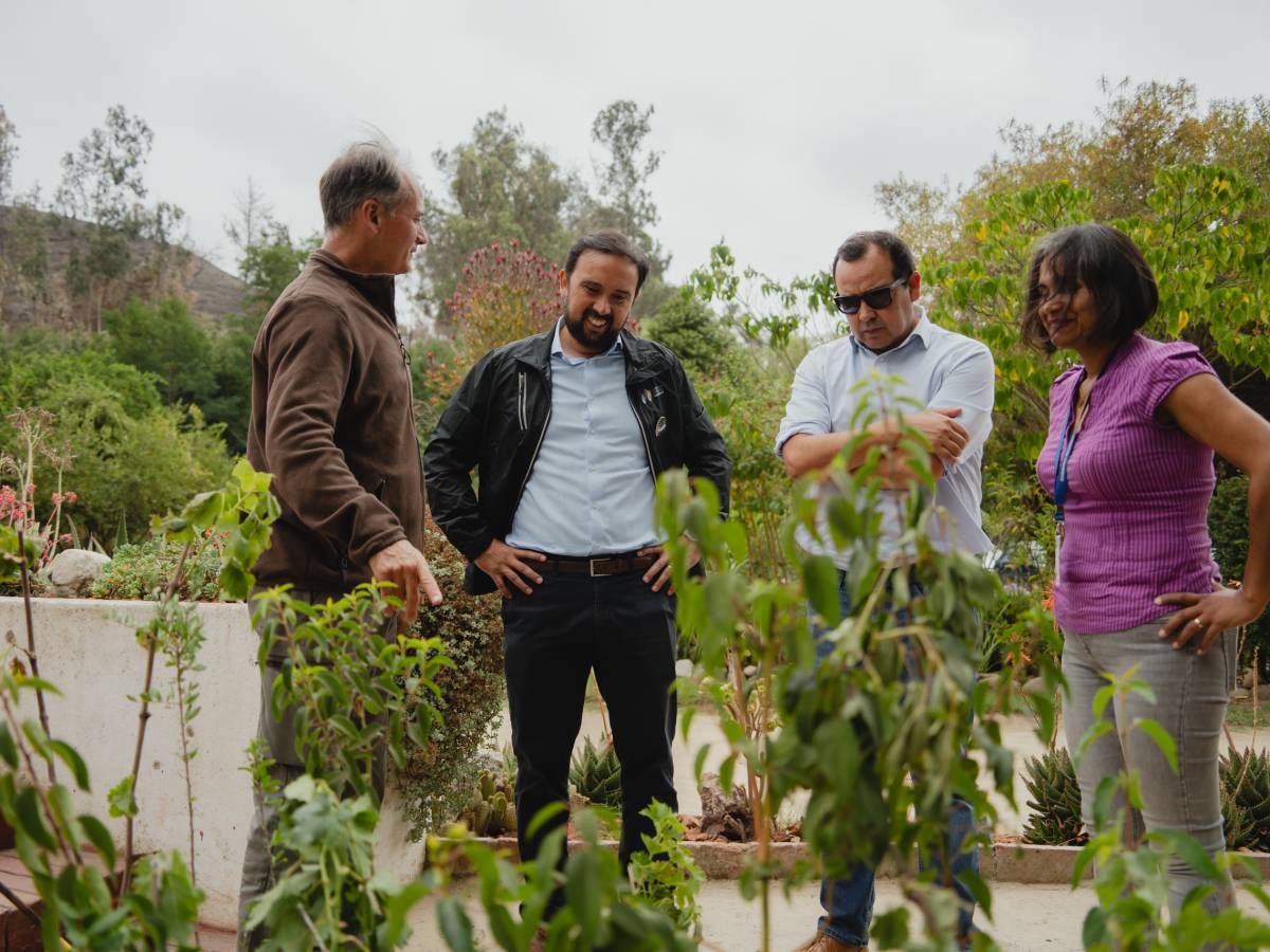 Ñuble tendrá rincón especial en Jardín Botánico de Viña del Mar