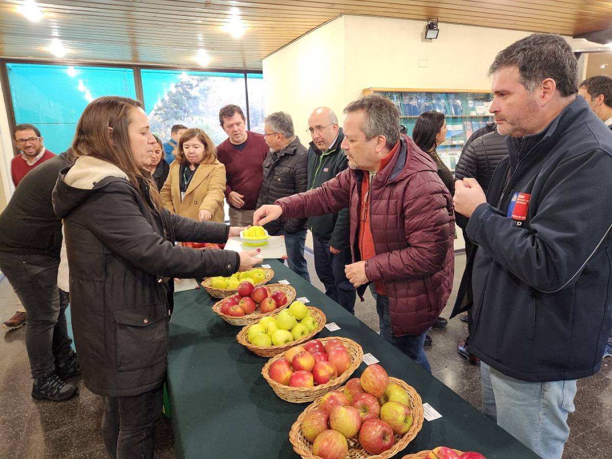 Efectos del cambio climático potencian a Ñuble como la futura región frutícola de Chile