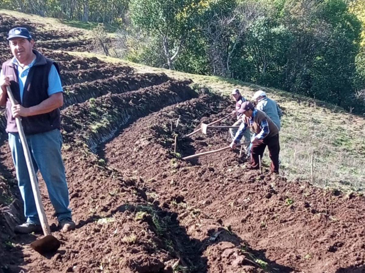 SAG suplementó 300 millones al programa de recuperación de suelos
