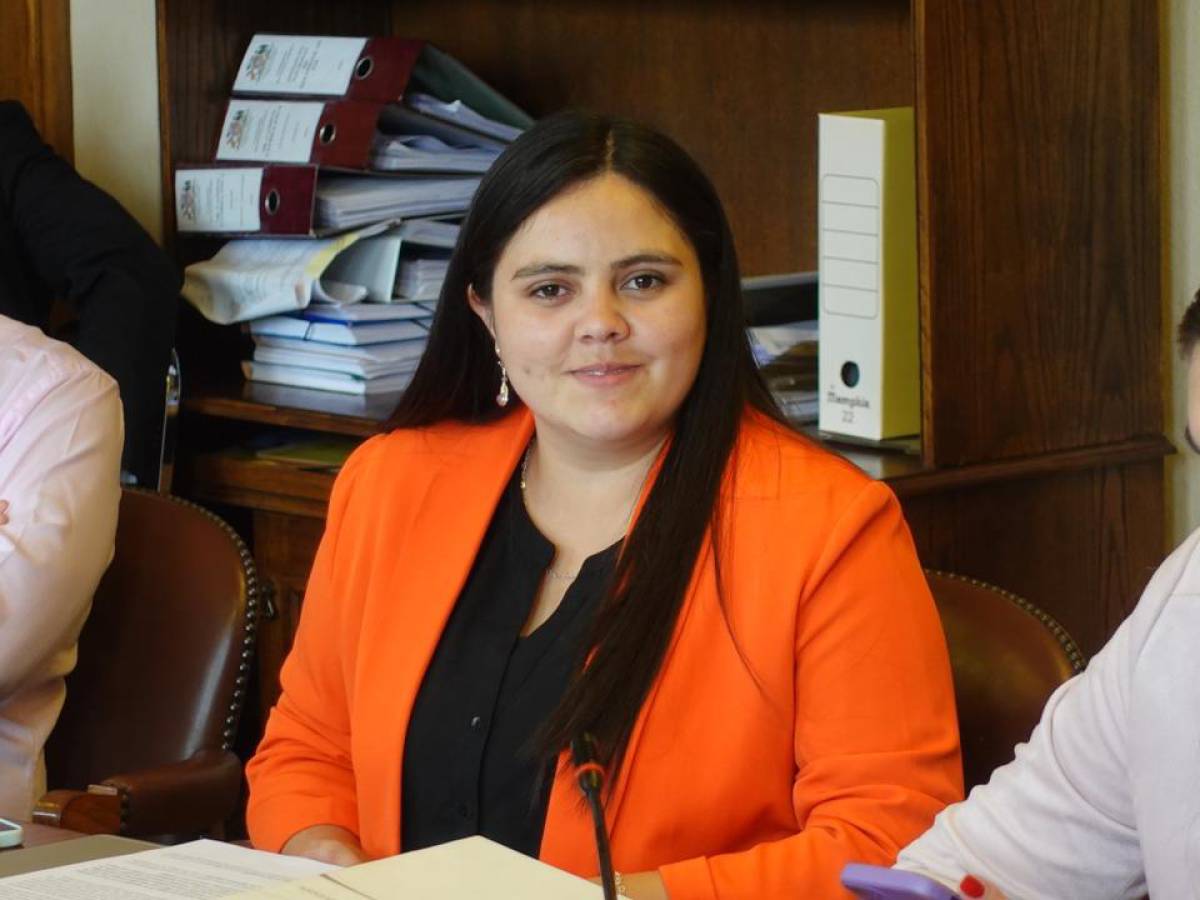 Diputada Concha pide estado de emergencia sanitaria en la región de  Ñuble por muertes por influenza