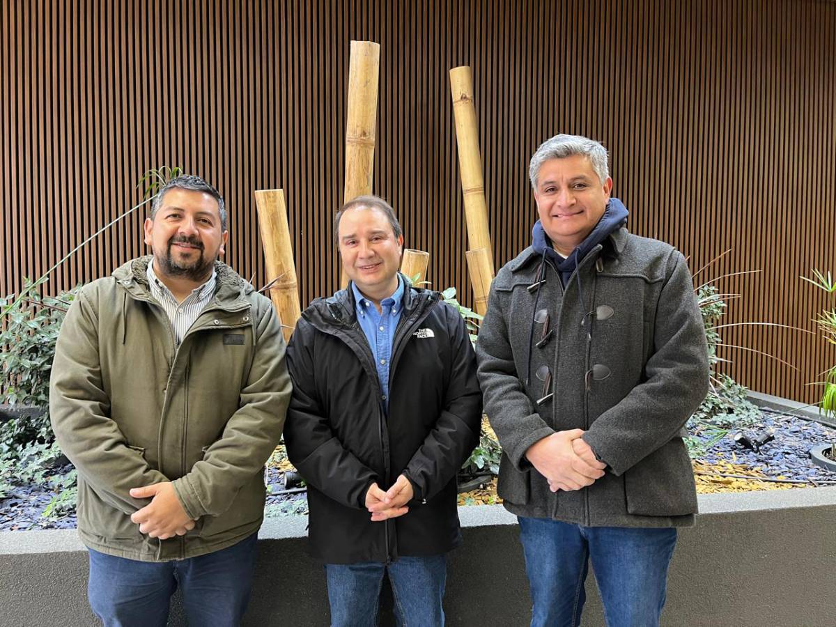 DIRIGENTES DEL TRANSPORTE MAYOR DE ÑUBLE  EXPONDRÁN EN COMISIÓN DE TRABAJO DE LA CÁMARA DE DIPUTADOS