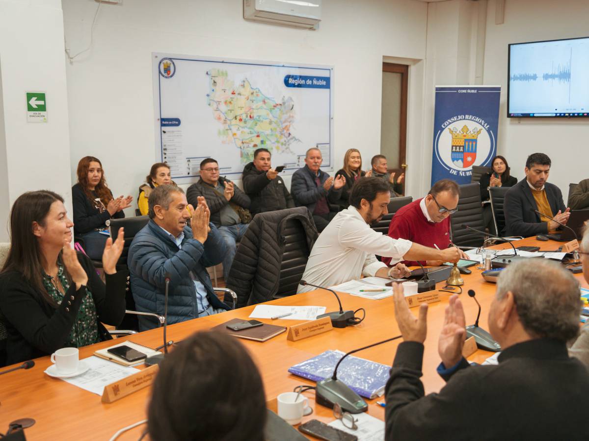 Consejo Regional aprueba $2.700 millones para dar continuidad al Programa Recambio de Calefactores en Chillán y Chillán Viejo
