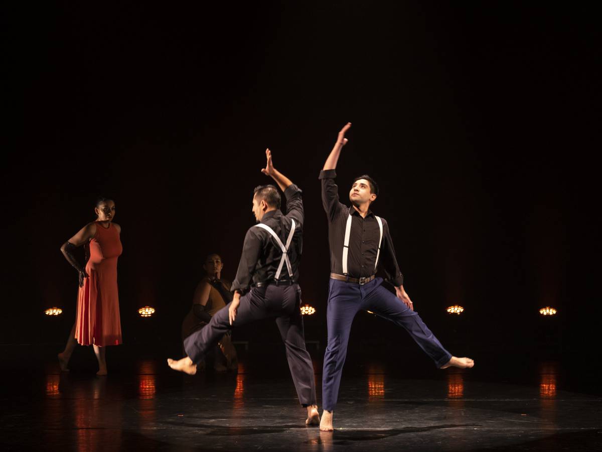 Con Gala Regional se celebrará en el Maule el Día Internacional de la Danza