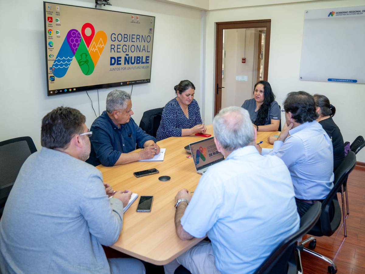 Sindicatos de Proempleo se suman a solicitud para que la Subsecretaría del Trabajo adopte una solución definitiva para su programa