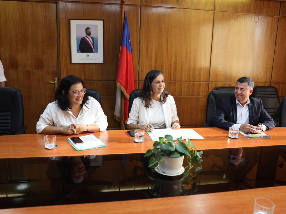 Apertura de mercado: Frutas chilenas comenzarán a exportarse a Indonesia
