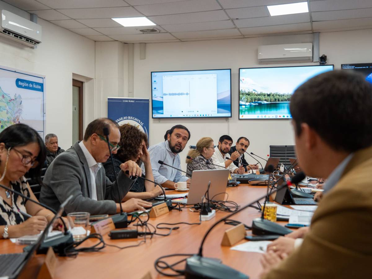 Ñuble impulsa su economía: aprueban millonario proyecto para fortalecer MiPymes