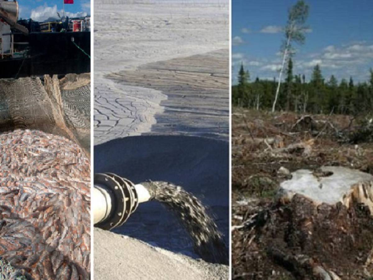 Denuncian que Ley de Permisos Sectoriales favorece industrias extractivas y debilita regulación ambiental