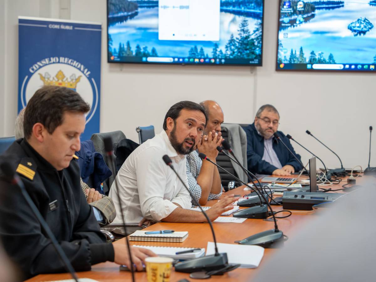 Autoridades de Ñuble alertan sobre pesca de embarcaciones externas en zona protegida