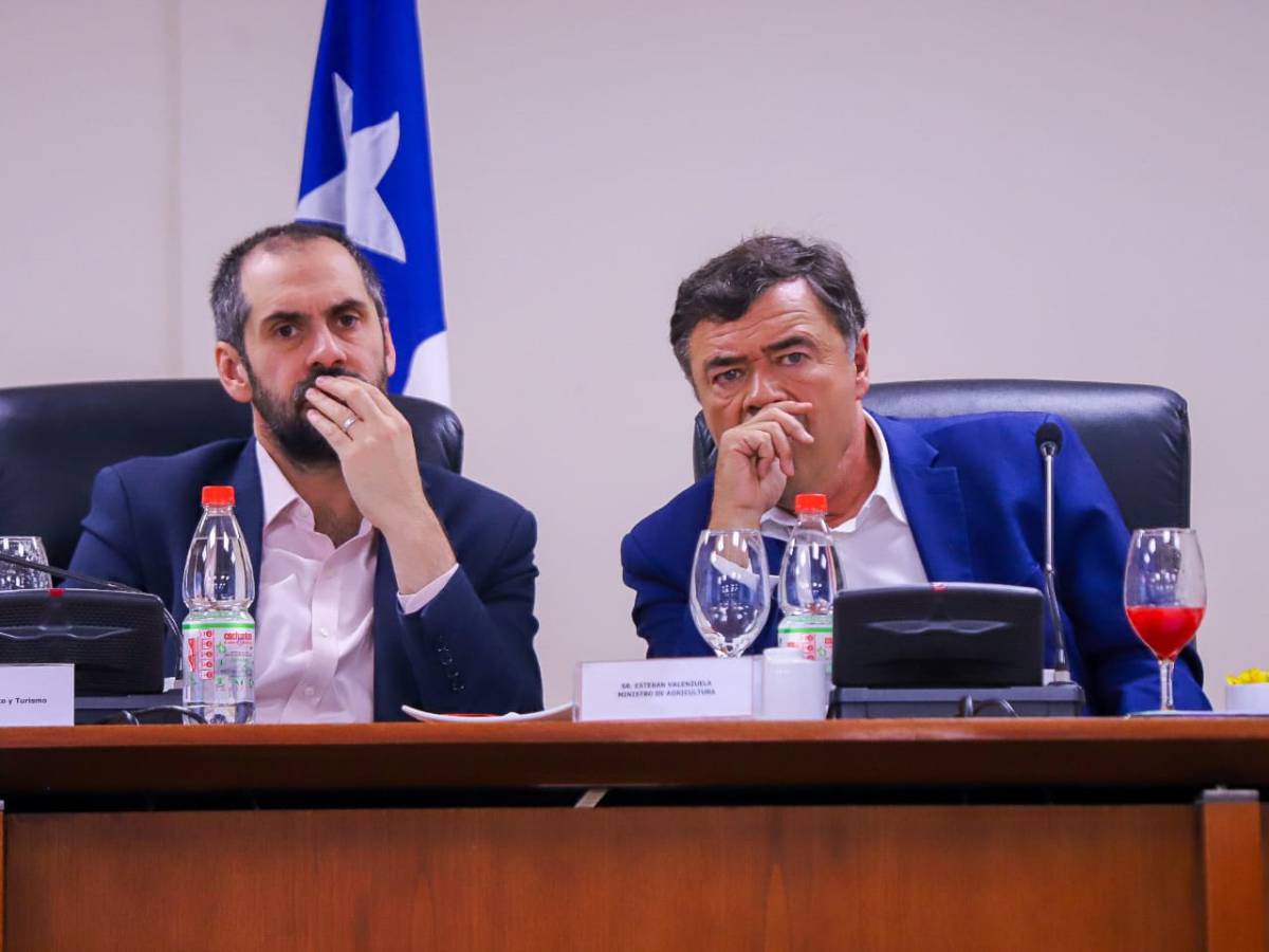 Gobierno y gremios analizan impacto de aranceles de EE.UU. a productos agroalimentarios chilenos