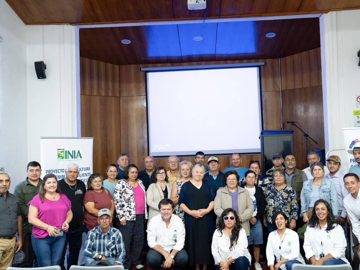 Proyecto de Fruticultura Sostenible refuerza capacitaciones y asistencia técnica en Ñuble