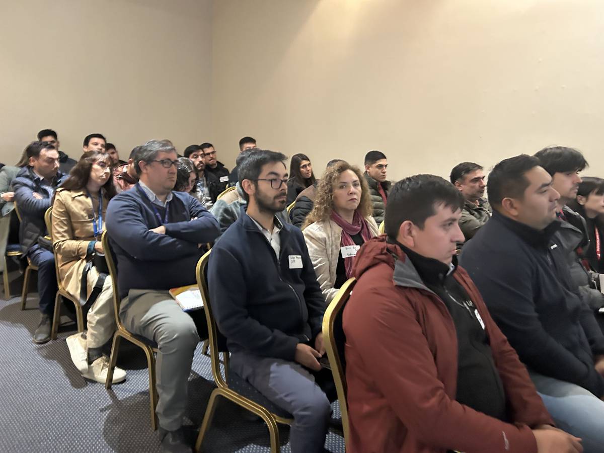 Más de 70 profesionales de Ñuble se capacitan en Normas, Instrucciones y Procedimientos para el Proceso de Inversión Pública 2025