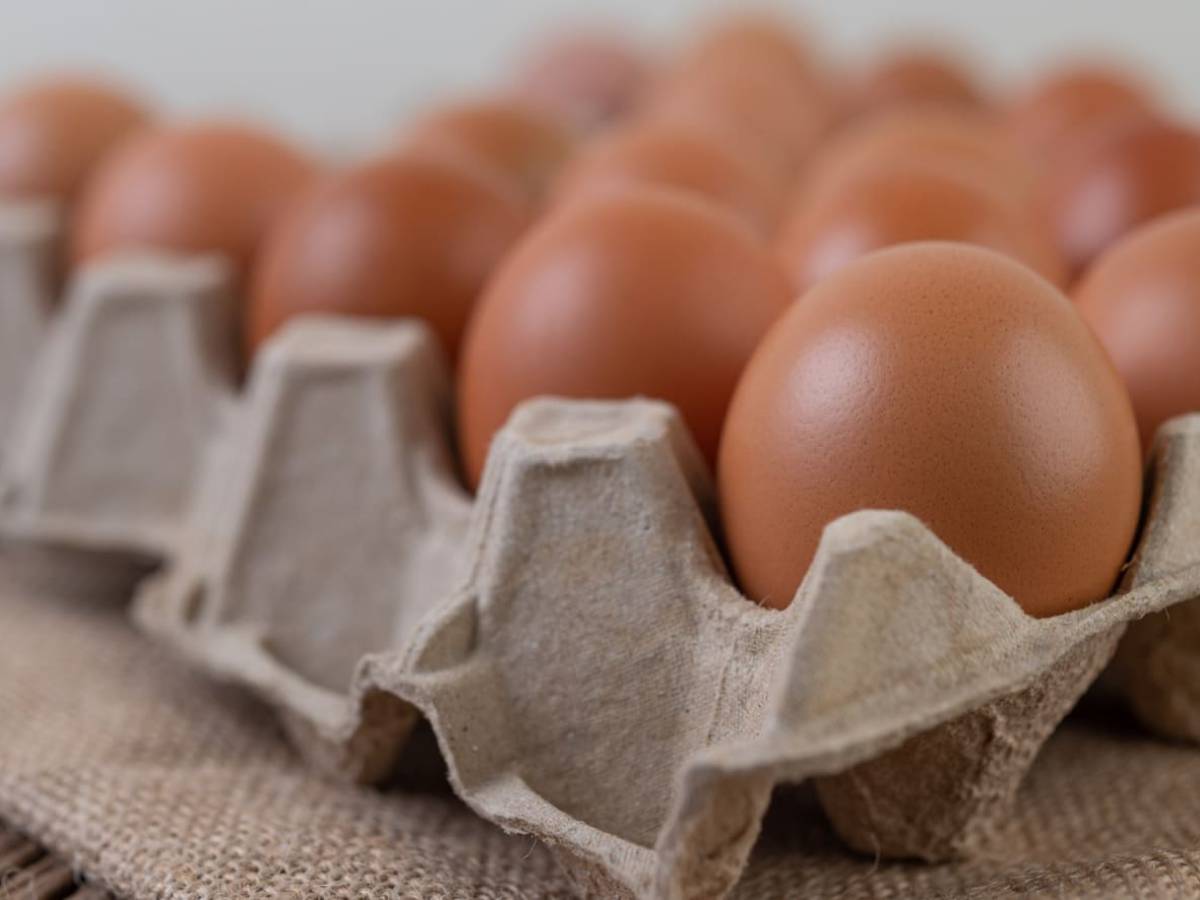 Alza en precio de los huevos impulsa búsqueda de alternativas ricas en proteínas y aminoácidos