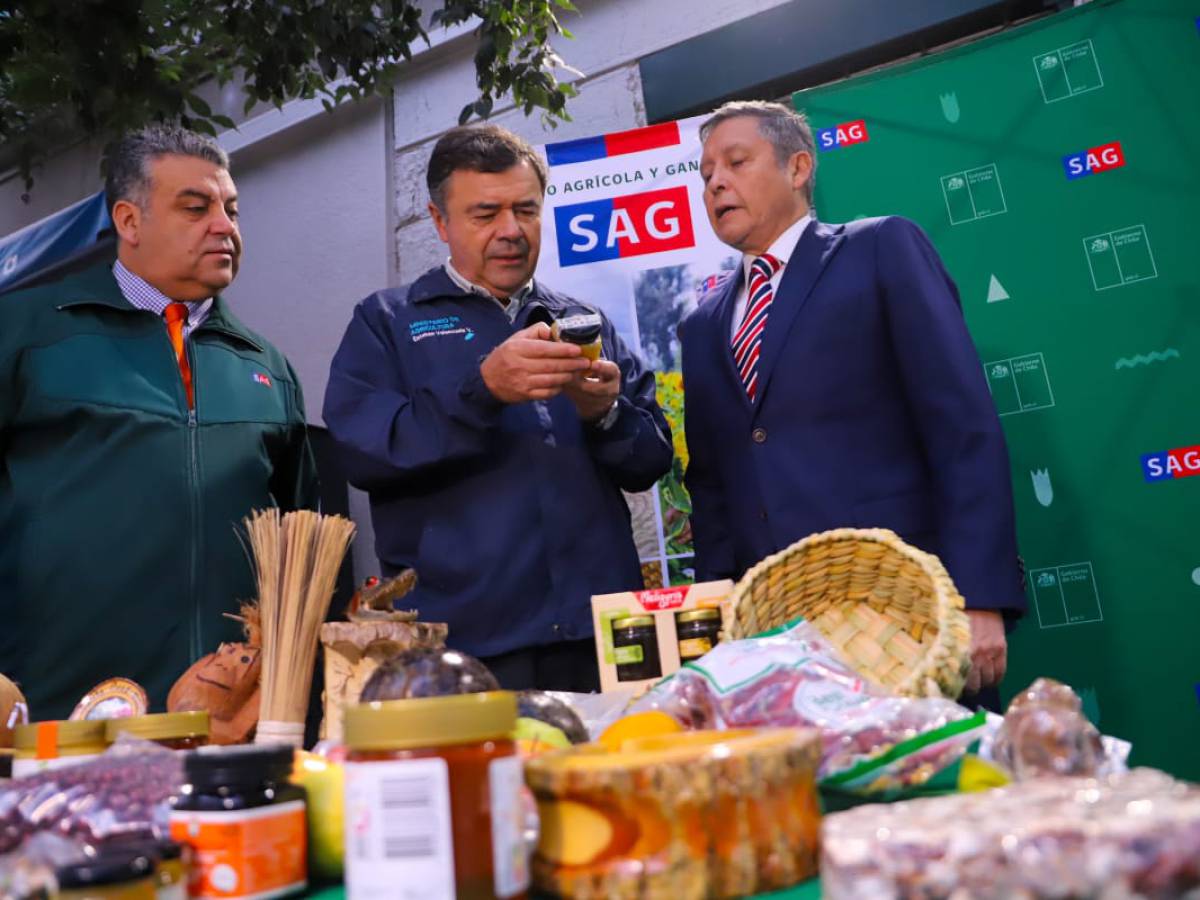 Ministerio de Agricultura junto al SAG advierten sobre sitios web falsos que cobran por trámite gratuito de la Declaración Jurada de ingreso a Chile